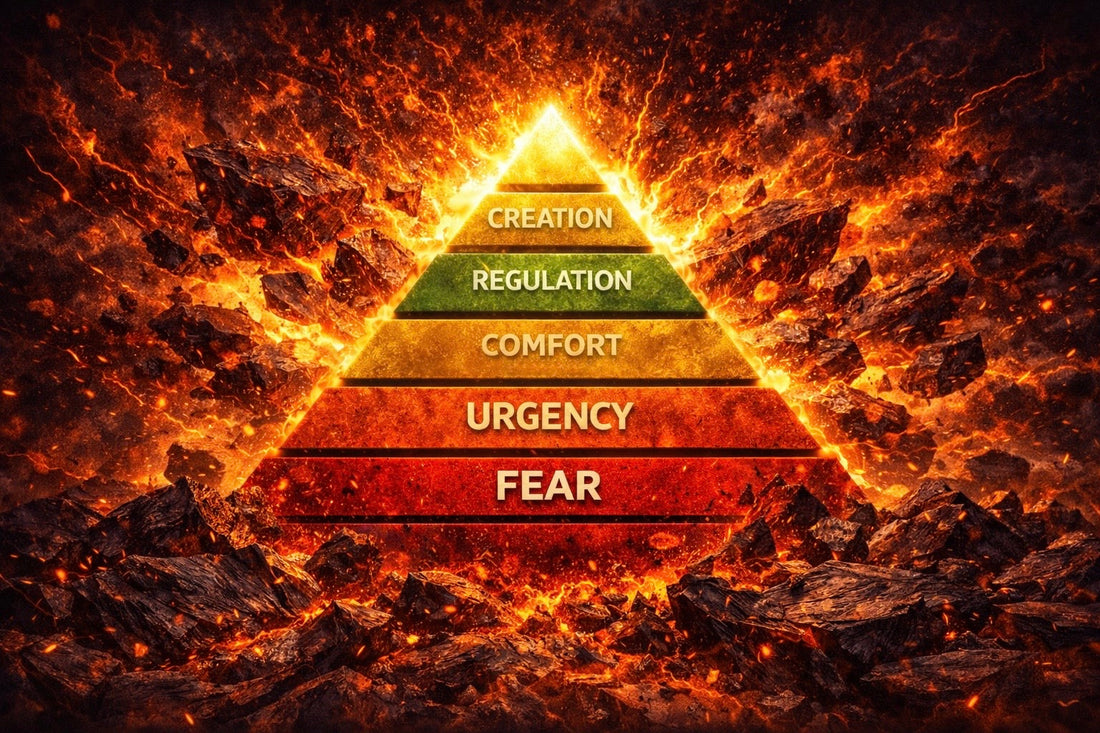 Why Some People Stay Stuck in Survival Mode Their Entire Life | Nervous System Regulation Explained